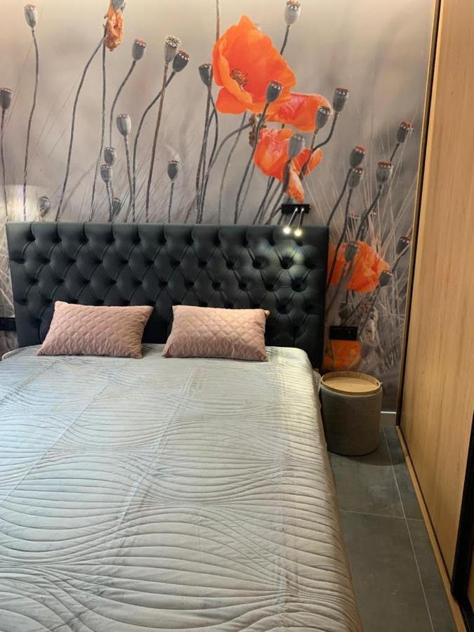 Apartment Na Olchowym Wzgorzu *